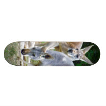 Australische Kängurus, die im Sun sich entspannen Personalisiertes Deck