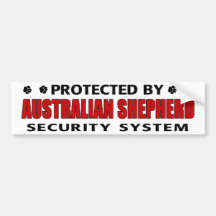 Australische Schäfer-Sicherheit Autoaufkleber