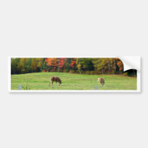 Autumn_In_Maine_13 Auto Sticker