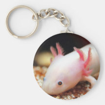 Axolotl Weißling Schlüsselband