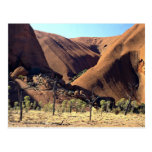 Ayers Felsen, Uluru Nationalpark, NordTerritor Postkarte
