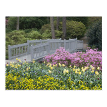 Azaleen-Heide-Familie (Ericaceae), Tulpe und Postkarte