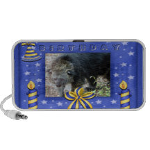 b-beaarcat-1 iPod speaker