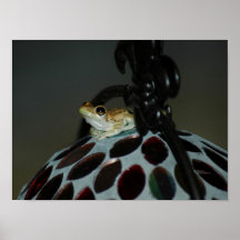 Baby-Baum-Frosch-Plakat