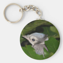 Baby-Blauhäher Keychain Schlüsselanhänger