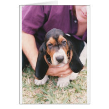 Baby Mocca Karte