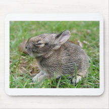 babybun mousepad