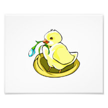 Babyenten-Blume als Nächstes Fotodruck