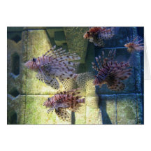 Bahamas-Fische Karten