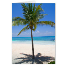 Bahamas-Palme Karten