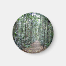 Bahn durch den Wald Kühlschrankmagnet