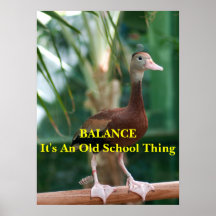 BALANCE POSTER