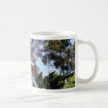 Balboa-Park-Turm-Baum-Brunnen-Himmel Tee Tasse