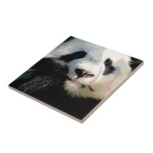 Bambusdigital Kunst niedlichen chinesischen Panda- Keramikfliese