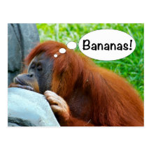 Bananen! Postkarten