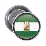 Bandera y escudo de Andalucía Pins