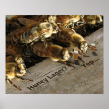Bar Bees_Honey Lager? Plakatdrucke
