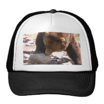 Bär Kappe