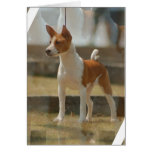 Basenji Gruß-Karte karten
