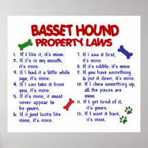 BASSET HOUND PL2 POSTERDRUCK