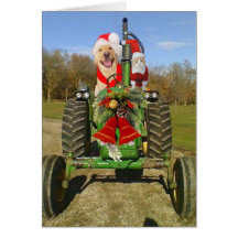 Bauernhof-Segen-Weihnachten Grußkarte