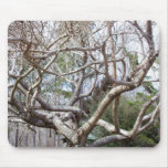 Baum-Auflage Mauspads