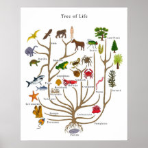 Baum des Lebens Posterdrucke