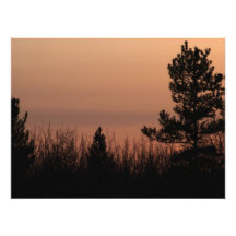 Baum-Familie Photo
