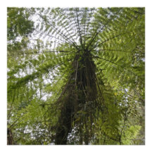 Baum-Farn Individuelle Ankündigskarten