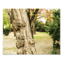 Baum-freie Form Kunst Foto