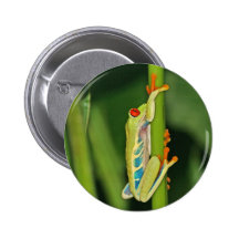 Baum-Frosch-Foto Anstecknadelbutton