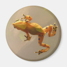 Baum-Frosch Kühlschrankmagnet