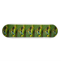 Baum-Frosch-Skate-Brett Personalisierte Decks