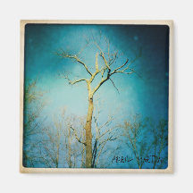 Baum-Magnet Kühlschrankmagnet