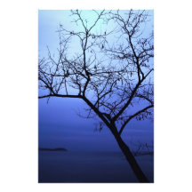 Baum Photodrucke