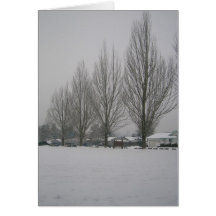 Baum-Reihe im Schnee Grußkarte