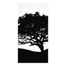Baum-Silhouette Bilderkarten