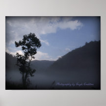 Baum und Berge nähern sich Fontana-Verdammungsplak