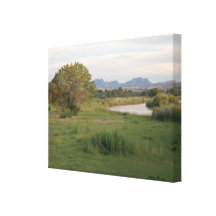 Baum und das Rio Grande Leinwand Drucke