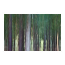 Bäume #335 leinwanddrucke