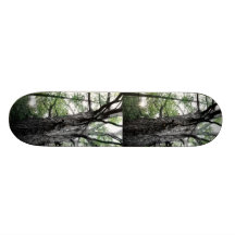 Bäume bis zum Erin Sommer Skateboarddeck