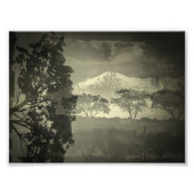 Bäume I sehen Fotodruck