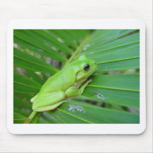 Baumfrosch Mousepads