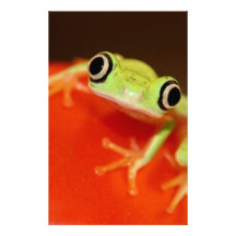 Baumfrosch Personalisierte Druckpapiere