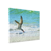 Beach Art Skimmer On Canvas Gallery Wrapped Canvas
