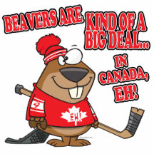 beavers Art der großer Sache in Kanada Photoausschnitt
