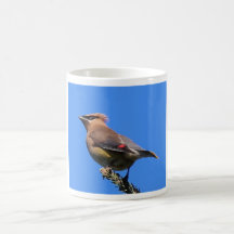 Becher mit ZederWaxwing! Kaffeetassen