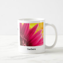 Bedeutung in der Natur: Gerbera Kaffee Tasse