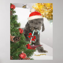 Bedlington Welpe steht hinter Weihnachtsbaum Plakate