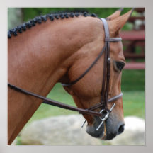 Befestigtes Pony-Plakat